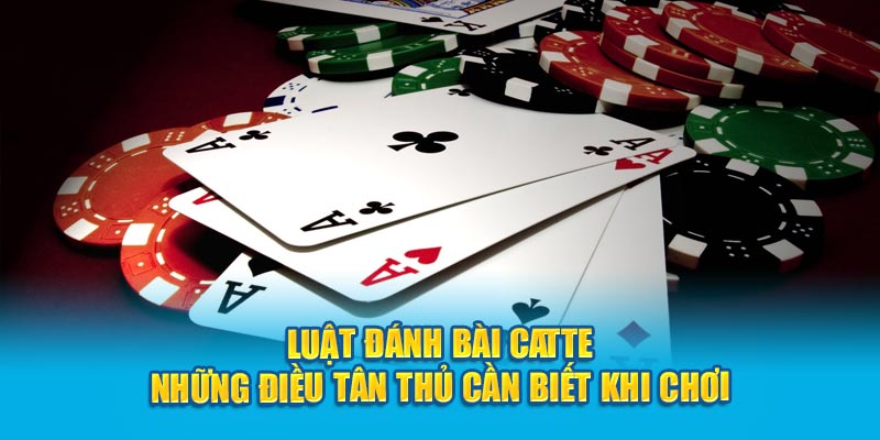 Luật Đánh Bài Catte - Những Điều Tân Thủ Cần Biết Khi Chơi 1 luat-danh-bai-catte-nhung-dieu-tan-thu-can-biet-khi-choi