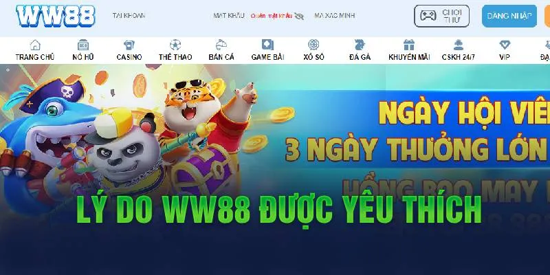WW88 - LINK W88 TRUY CẬP WW88.COM T8 2026 20 Sản phẩm được yêu thích tại WW88